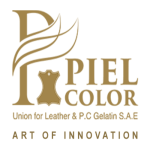 piel color
